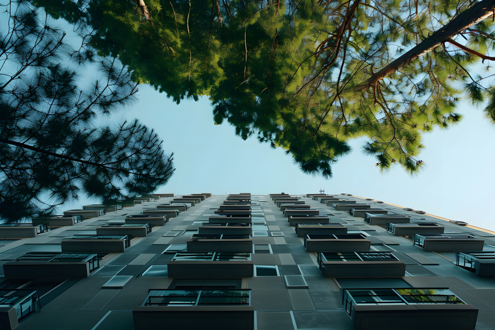 homeowners insurance