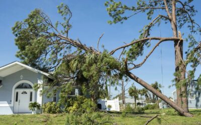 What Is Wind Mitigation—And Can It Save You Money on Insurance?
