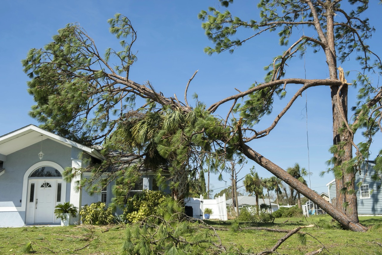 wind mitigation