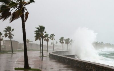 Blogs 5 Do I Need Flood Insurance if I Already Have Hurricane or Windstorm Coverage?
