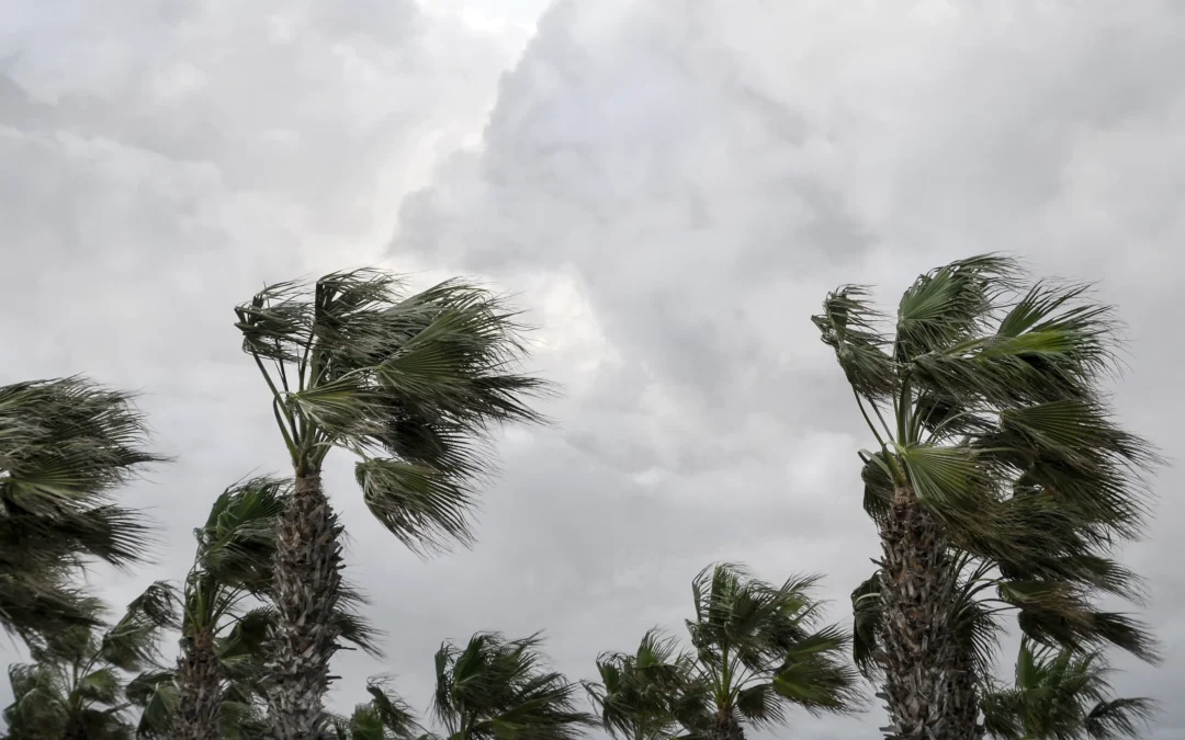 Hurricane Preparedness for Florida Homeowners