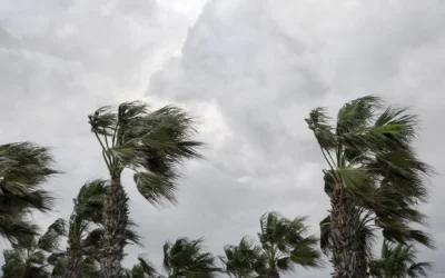 Blogs 6 Hurricane Preparedness for Florida Homeowners