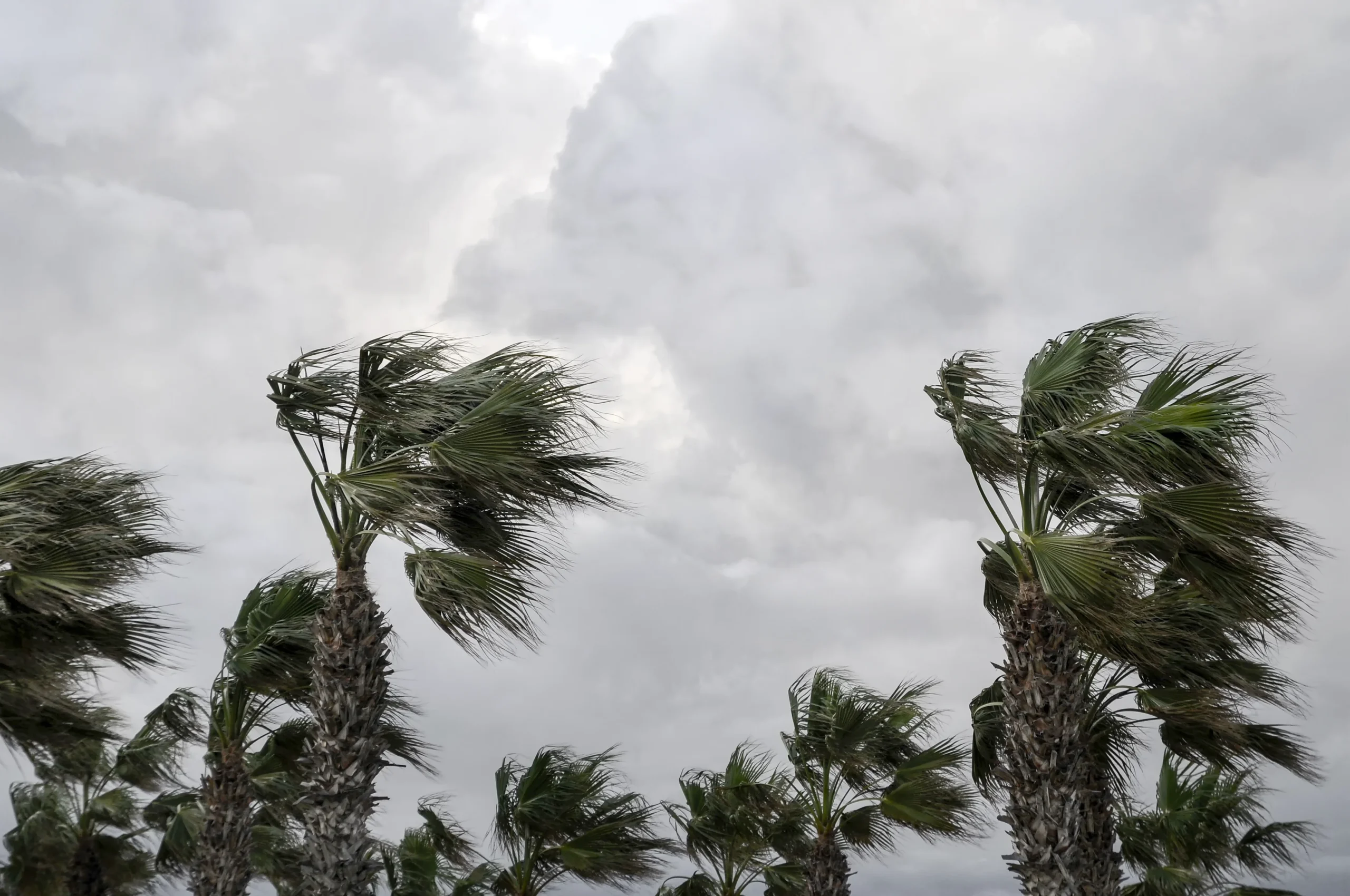 Hurricane Preparedness 