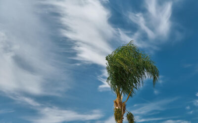 Blogs - Blogs Hurricane Preparedness Checklist for Florida Homeowners